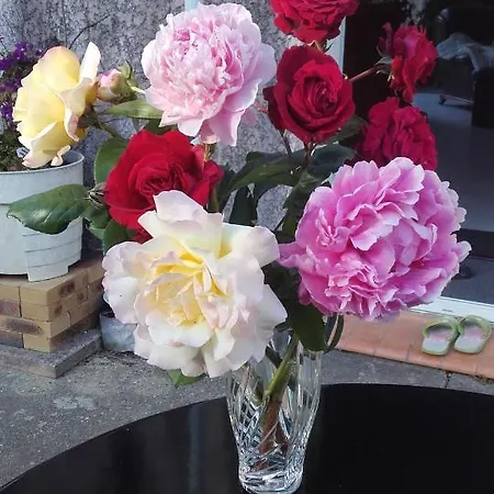 Frühstückspension Chez Yvette , C'est Chouette!! Carcassonne