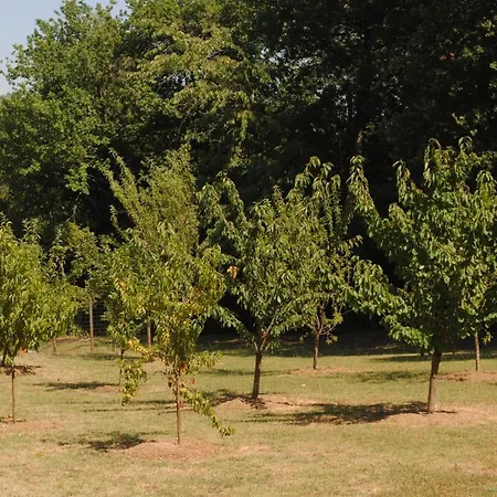 Chez Yvette , C'est Chouette!! * Carcassonne