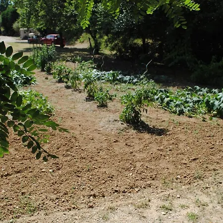 Frühstückspension Chez Yvette , C'est Chouette!! Carcassonne