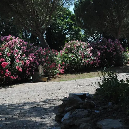 Chez Yvette , C'est Chouette!! Bed & Breakfast Carcassonne