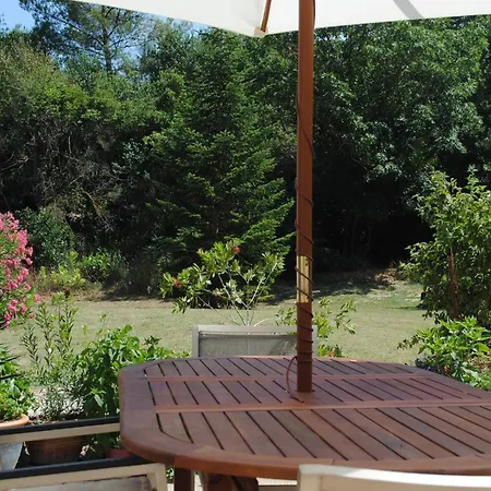 Chez Yvette , C'est Chouette!! *