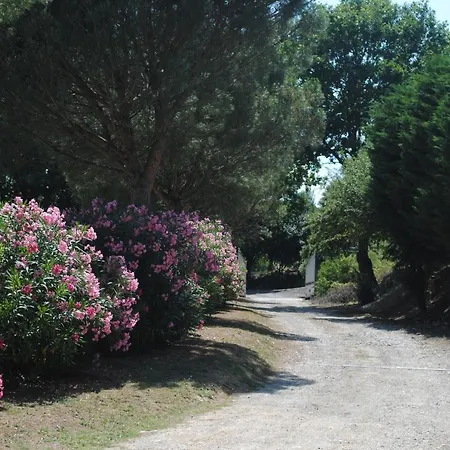 Chez Yvette , C'est Chouette!! Bed & Breakfast *