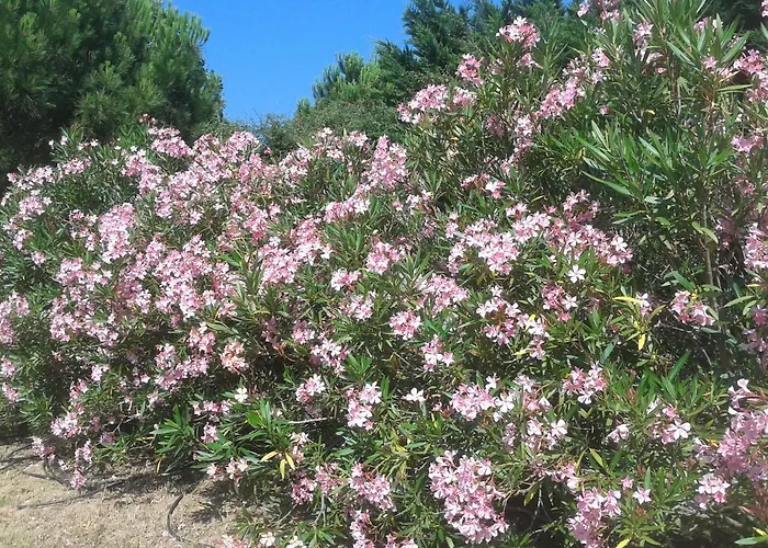 Bed & Breakfast Chez Yvette , C'est Chouette!! Carcassonne