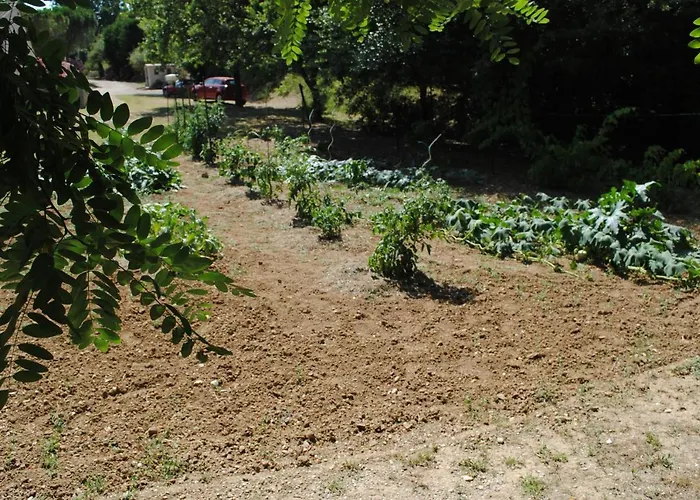Bed & Breakfast Chez Yvette , C'est Chouette!! Carcassonne