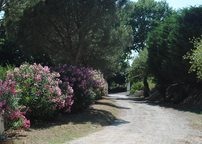 Chez Yvette , C'est Chouette!! Bed & Breakfast *